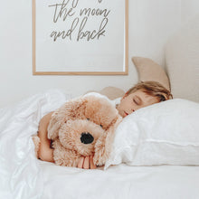 Load image into Gallery viewer, Charlie the weighted dog & Book Bundle NEW