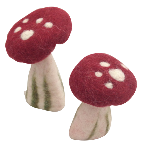 Papoose Mushroom