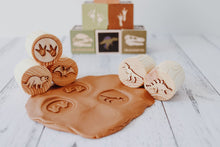 Load image into Gallery viewer, Dinosaur Playdough Stamps Set of 5