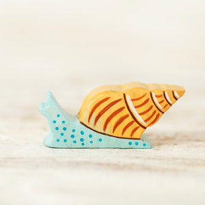 Wooden Caterpillar Sea Snail