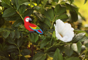 Mikheev Bird- Parrot Ara Red