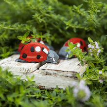 Load image into Gallery viewer, Wooden Caterpillar Ladybug