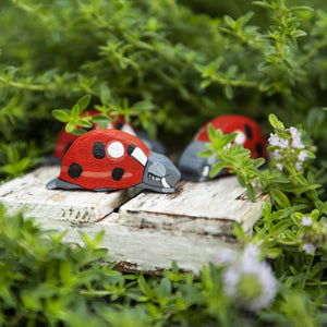 Wooden Caterpillar Ladybug