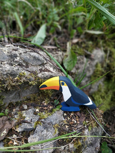Mikheev Bird- Toucan