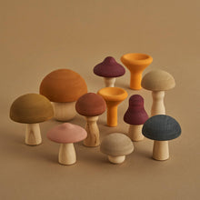 Load image into Gallery viewer, Raduga Grez Mushrooms