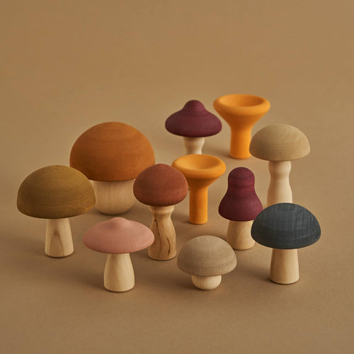 Raduga Grez Mushrooms