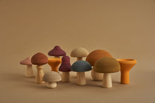 Load image into Gallery viewer, Raduga Grez Mushrooms